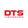 DTS诊断设备