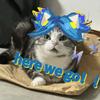 海尔小猪咪（KO）