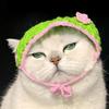 笙笙