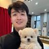 郑州小康家韩系小比熊