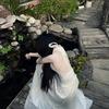 云岫、