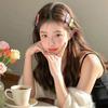 菜菜