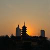 另一个我
