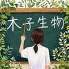 木子生物