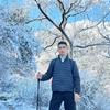 宁波特斯拉博哥