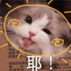 猫Sir