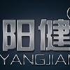 阳健仪表
