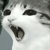 猫猫战将（LOL版）