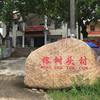 水塘边上的村干部陈三