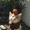 ^娜咪咪^