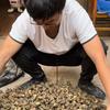 抖音三农排行榜第26名小耿赶海,新榜指数767.2000,新增作品数1,分享数2.67w,评论数1.03w,点赞数3.58w,新增粉丝数2634,累计粉丝数12.56w