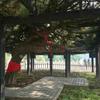 “MQS”大道至简