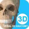 维萨里3D解剖