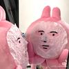 芥末小鱼