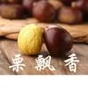 栗飘香特产(迁西板栗新鲜栗子)
