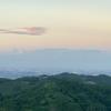 大探长