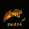 津航爱养龟（收退坑🐢）