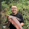 眉山渔百家鱼苗成鱼批发