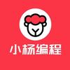 编程杨老师👨🏻‍💻