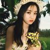 花颖