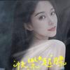 是魏魏