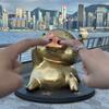 金珠珠