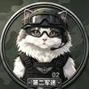 第二军迷
