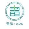 青苗➕YUAN