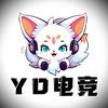 YD电竞（三角洲行动）