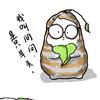 果蔬小百科