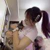 王喜猫切克闹