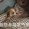铁板仙人（穷困潦倒版)