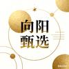 向阳甄选