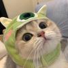 喵了个咪呀🐈