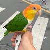我哥哥