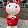 小锦爱学习