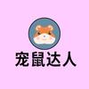宠鼠达人🐹
