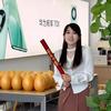 金冢子鑫中域手机连锁（国补指定门店）