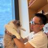 龙城猫主子