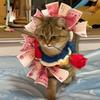 电竞小浪手