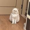 建人误入歧途