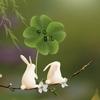 ᝰꫛꫀꪝ Y🍀⁵²º ⅓¼