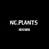 NCPLANTS操控植物潮玩绿植