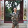 小陈又上树！