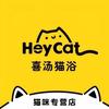 阿喜洗猫er（投稿私信）
