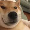 纯情版—钢铁侠