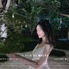 神仙鱼丹丹-工作