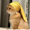 喵星显眼喵