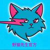 野猫先生Mr.Wildcat