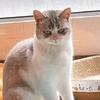 猫尔影视君